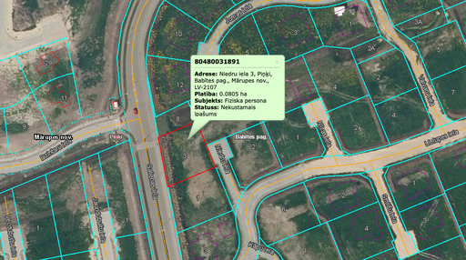 Land for sale in Pinki, Niedru 3